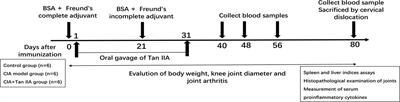 Tanshinone IIA Suppresses Proliferation and Inflammatory Cytokine Production of Synovial Fibroblasts from Rheumatoid Arthritis Patients Induced by TNF-α and Attenuates the Inflammatory Response in AIA Mice